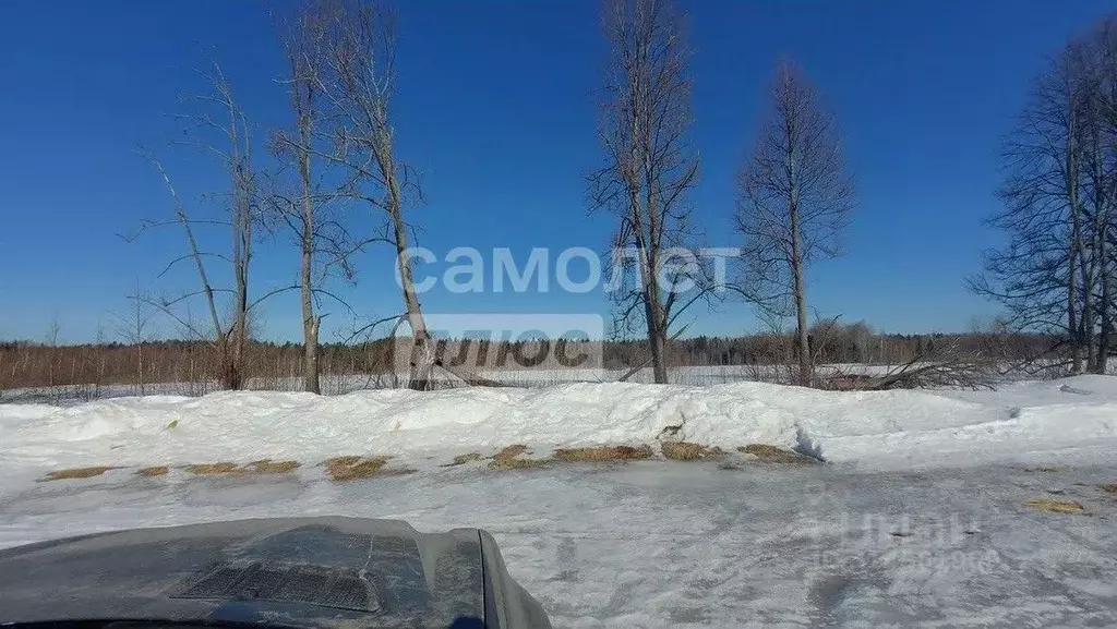 Участок в Московская область, Клин городской округ, д. Микляево ул. ... - Фото 1