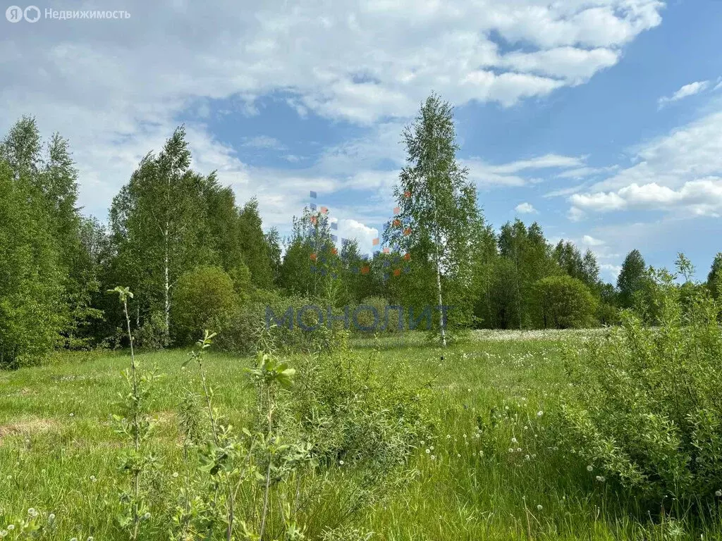 Участок в деревня Русский Кукмор, Новая улица (12 м) - Фото 0