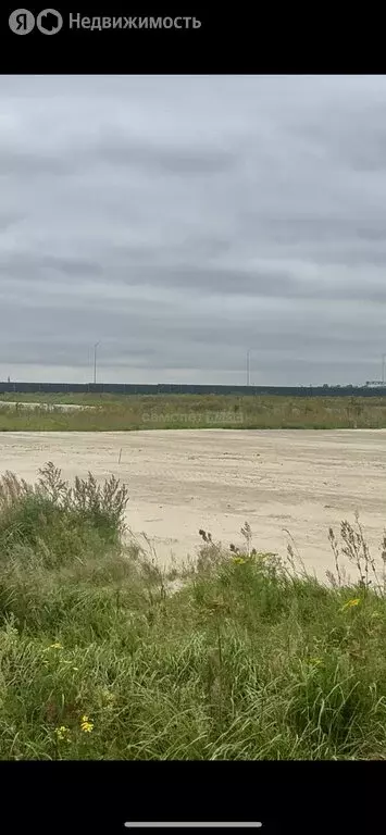 Участок в Московская область, Раменский муниципальный округ, ... - Фото 2