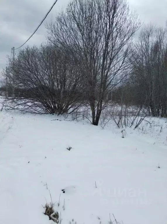 Участок в Московская область, Ступино городской округ, д. Бурцево ул. ... - Фото 0