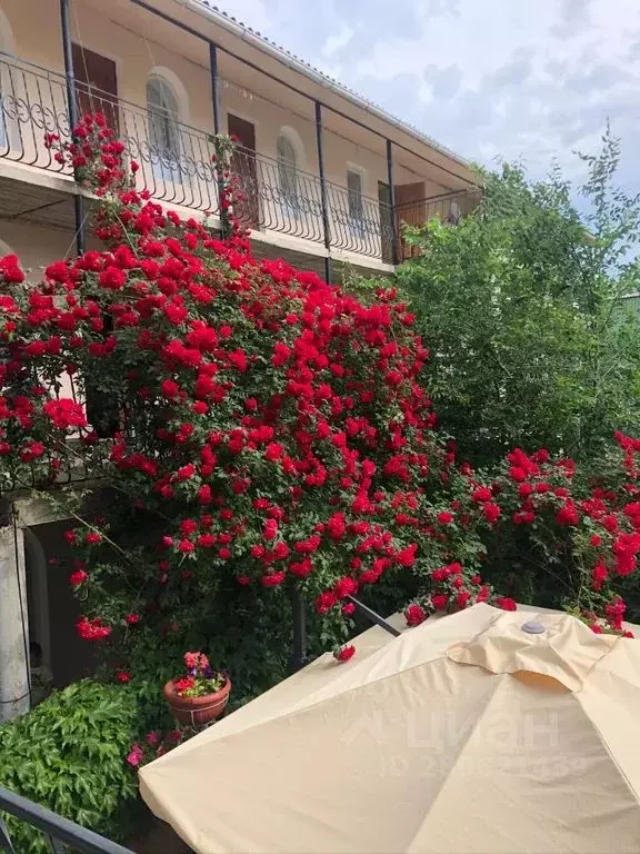 Комната Крым, Бахчисарайский район, с. Песчаное ул. Набережная, 7/101 - Фото 2