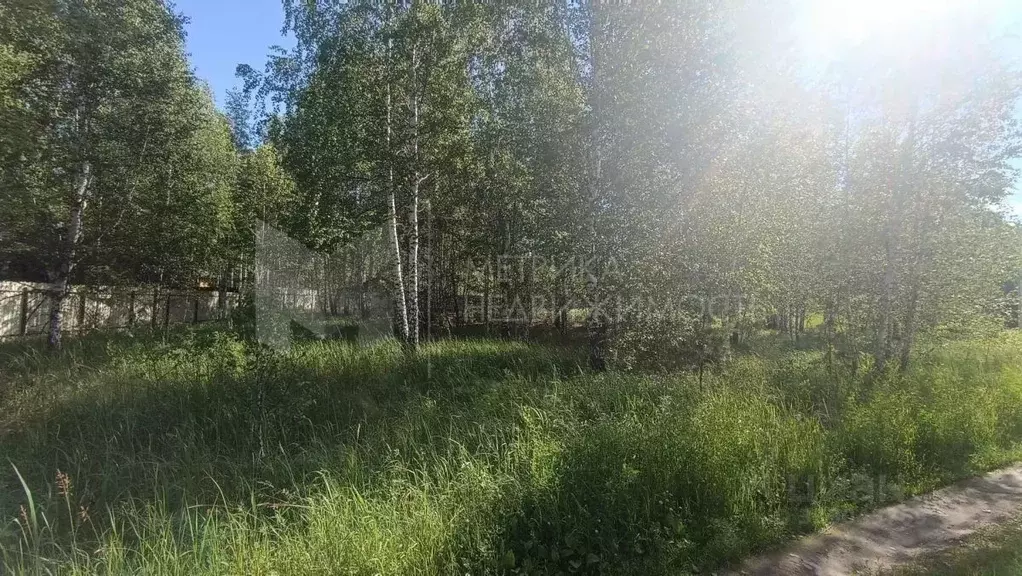 Участок в Тюменская область, Нижнетавдинский муниципальный округ, ... - Фото 1