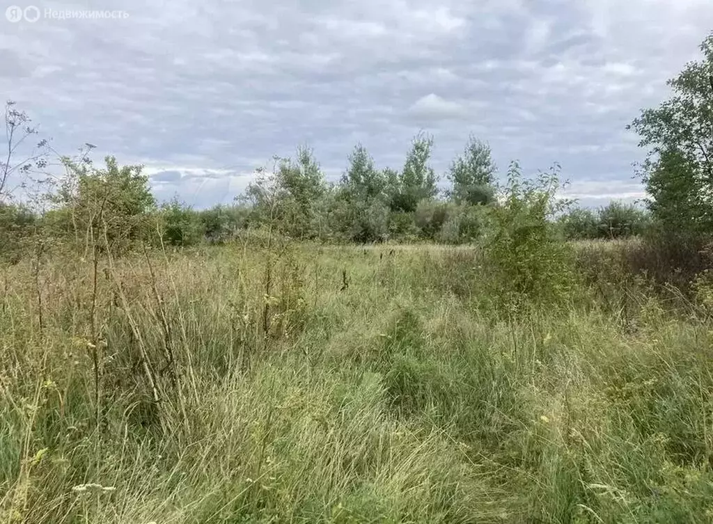 Участок в Тюменская область, село Исетское (13 м) - Фото 1