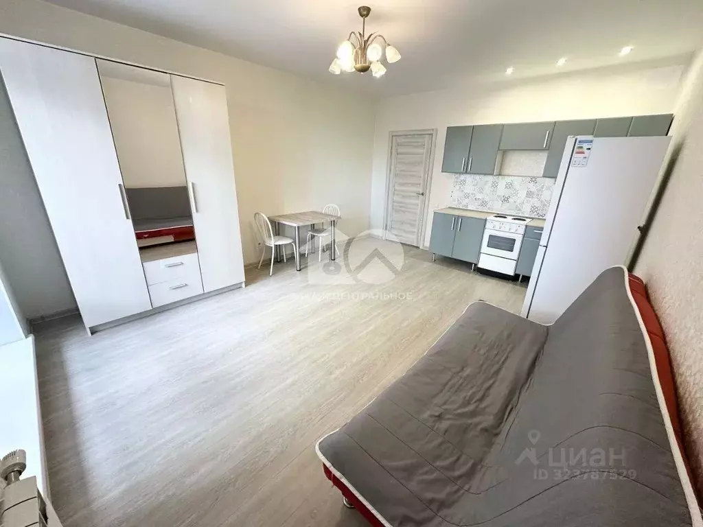 Студия Новосибирская область, Новосибирск Красный просп., 313 (30.0 м) - Фото 2