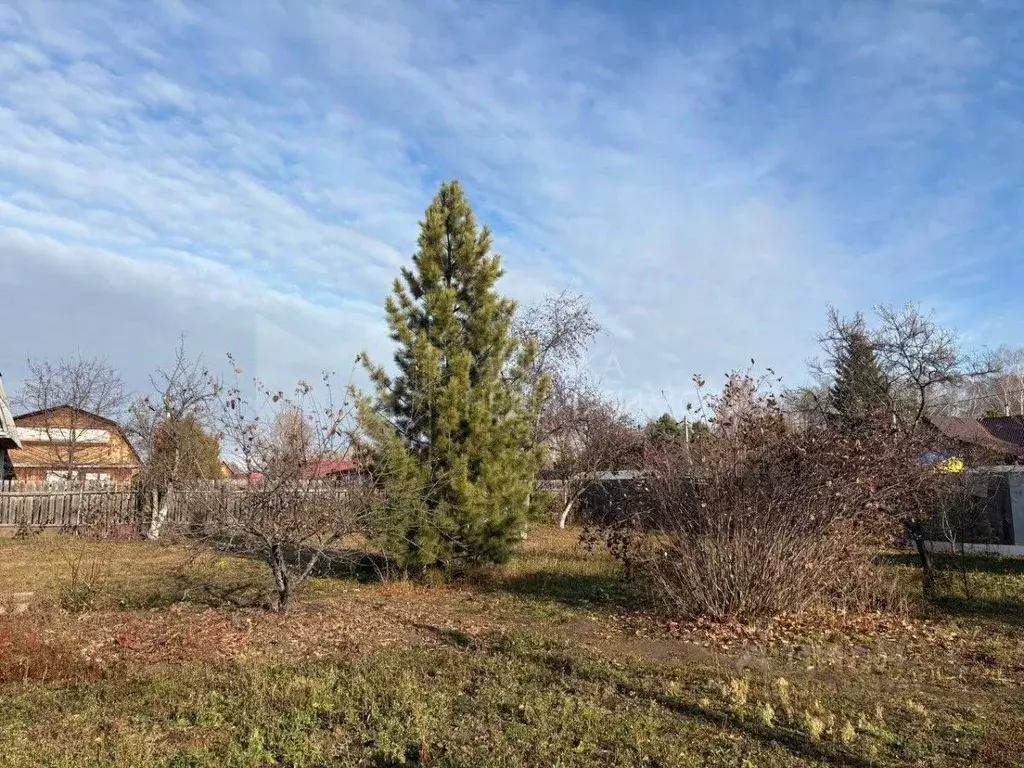 Участок в Тюменская область, Тюменский муниципальный округ, Кармак СНТ ... - Фото 1