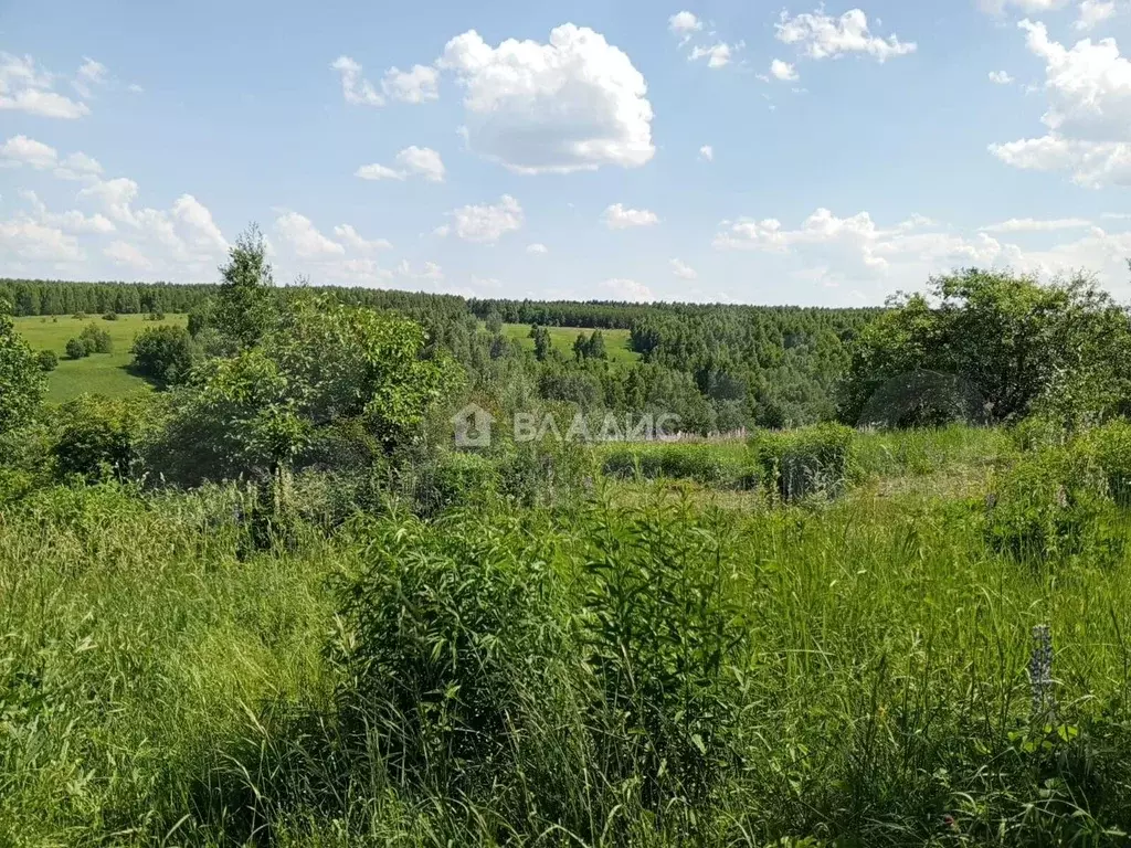 Участок 6 сот. (СНТ, ДНП) - Фото 0