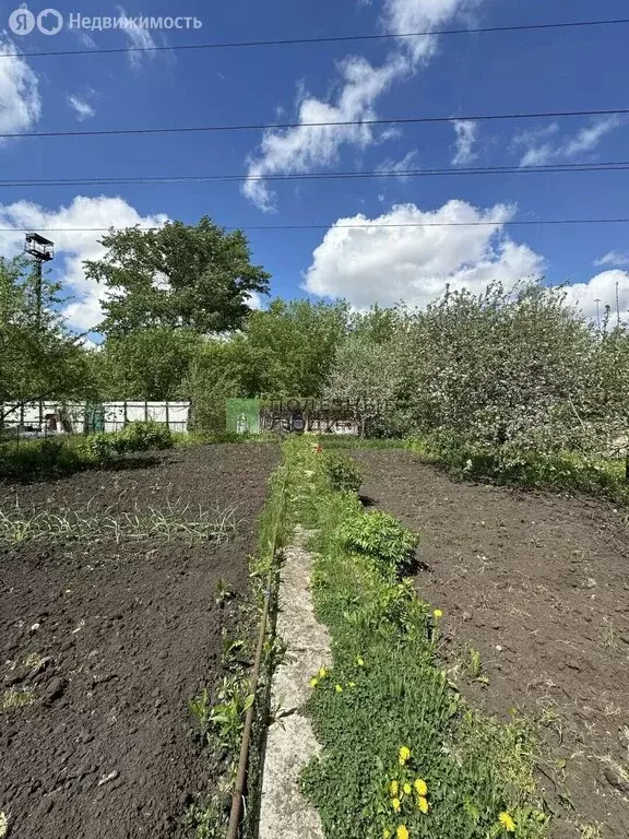 Дом в Орёл, СНТ Спутник, Центральная улица, 15 (26.7 м) - Фото 2