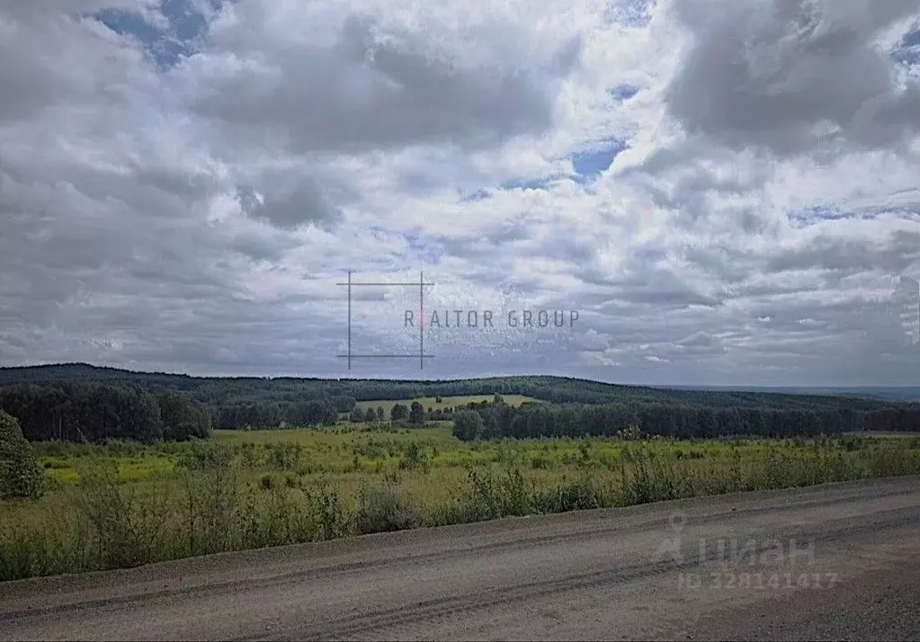 Участок в Новосибирская область, Тогучинский район, пос. Семеновский  ... - Фото 1