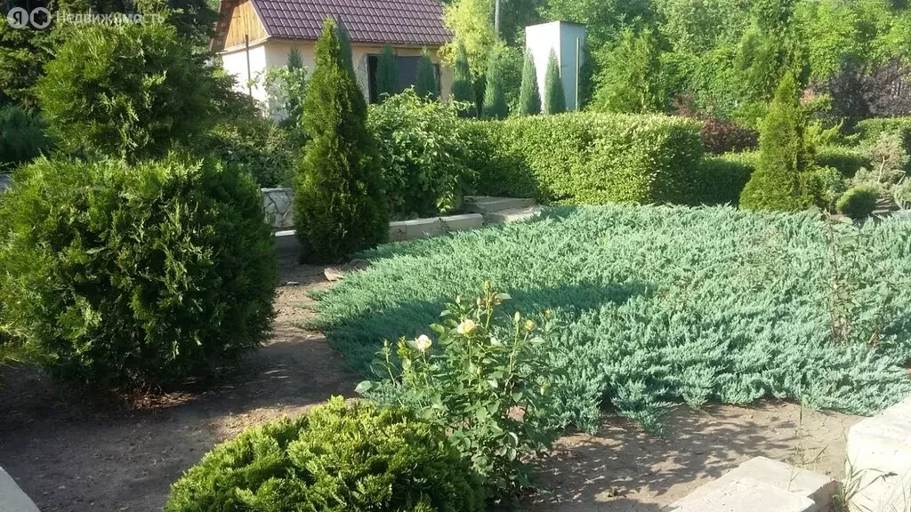 Дом в Саратов, Ракитная улица (33 м) - Фото 2