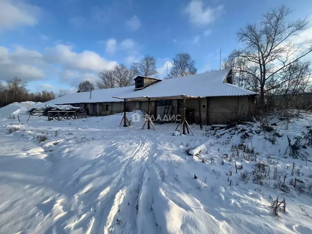 Производственное помещение в Нижегородская область, Семенов ул. ... - Фото 1