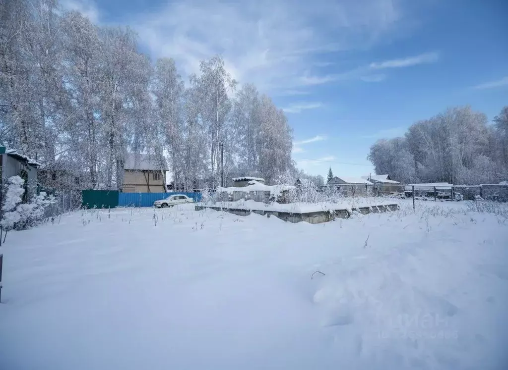 Участок в Новосибирская область, Бердск НСТ Отдых тер., ул. Березовая ... - Фото 2