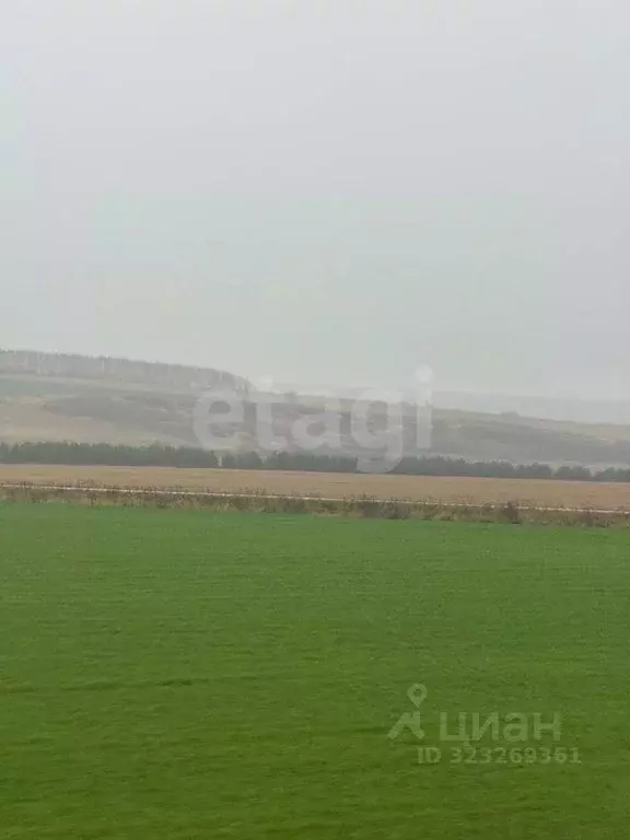 Участок в Нижегородская область, Дальнеконстантиновский муниципальный ... - Фото 1