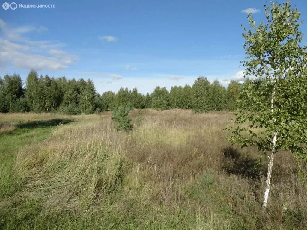 Участок в Нижегородская область, Лысково (1500 м) - Фото 1