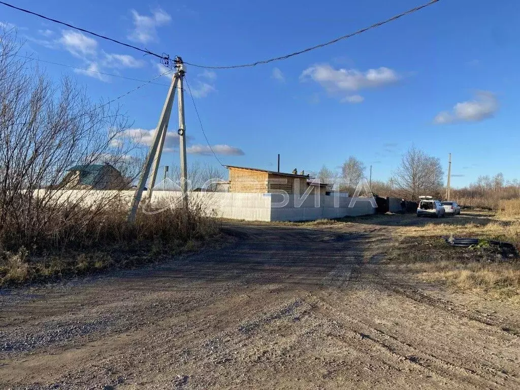 Участок в Тюменская область, Тюмень Царево садовое товарищество, ул. ... - Фото 0