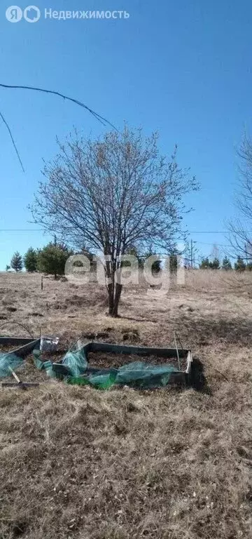 Участок в Берёзовский район, Вознесенский сельсовет, деревня Лопатино, ... - Фото 1