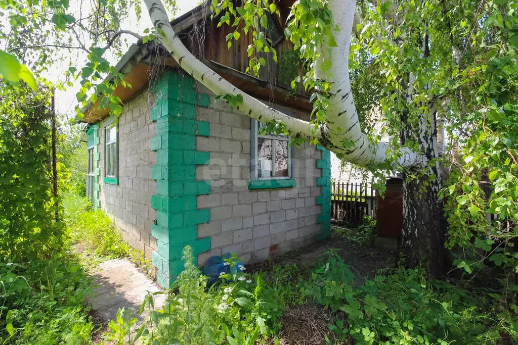 Дом в Омск, СОСН Содружество-2 (30 м) - Фото 0