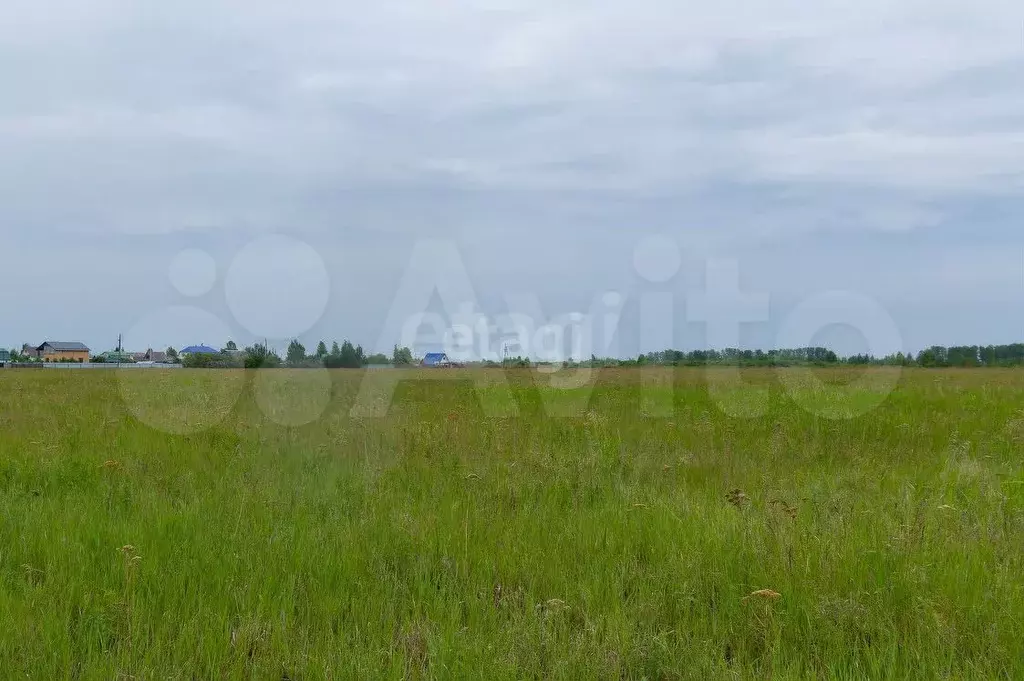 Участок 6 сот. (СНТ, ДНП) - Фото 0