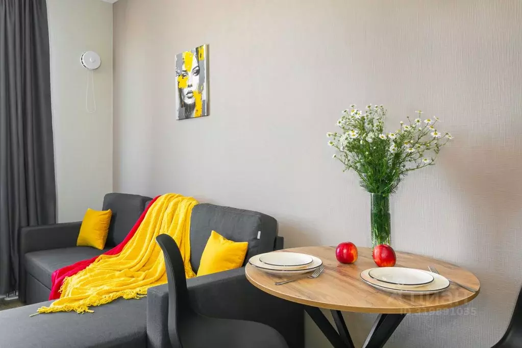 Студия Санкт-Петербург просп. Крузенштерна, 4 (25.0 м) - Фото 1