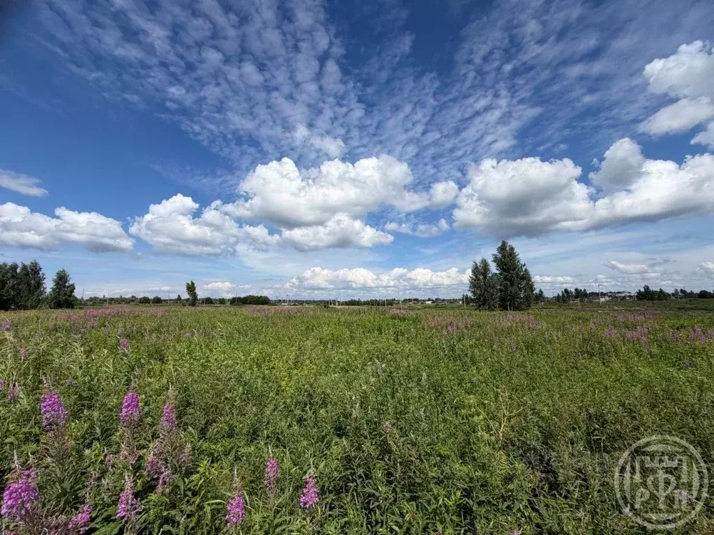 Участок в Ленинградская область, Ломоносовский район, д. Низино  (50.0 ... - Фото 2