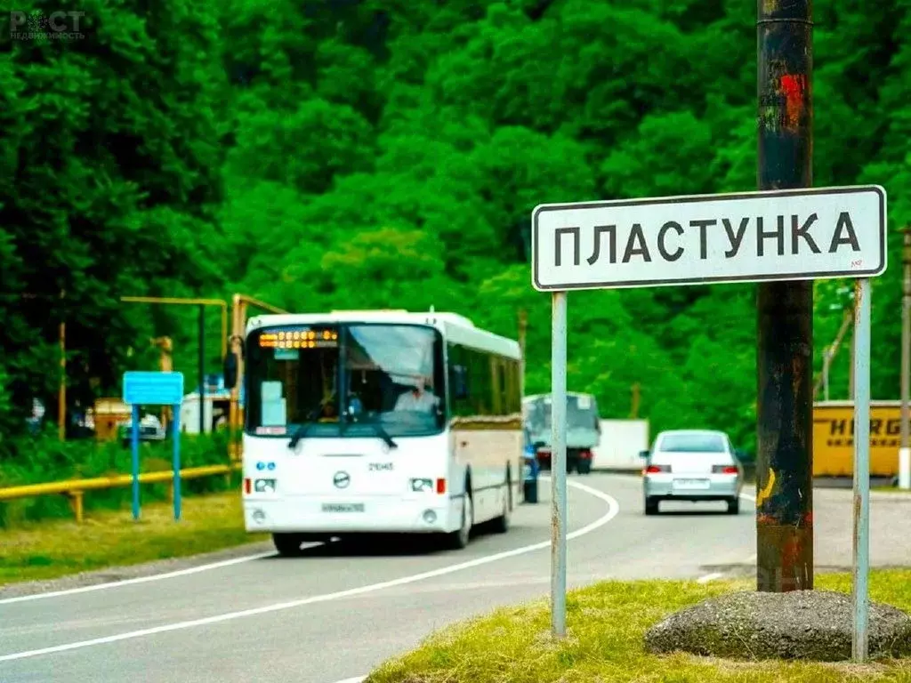 Участок в Краснодарский край, Сочи городской округ, с. Пластунка ул. ... - Фото 1