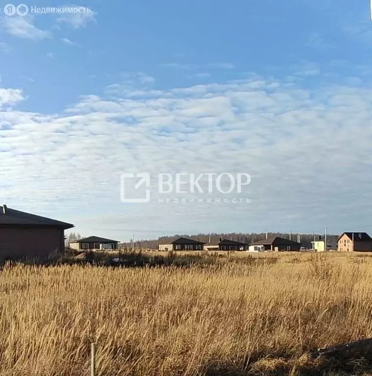 Участок в Кострома, Рыбацкая улица, 71 (7 м) - Фото 2