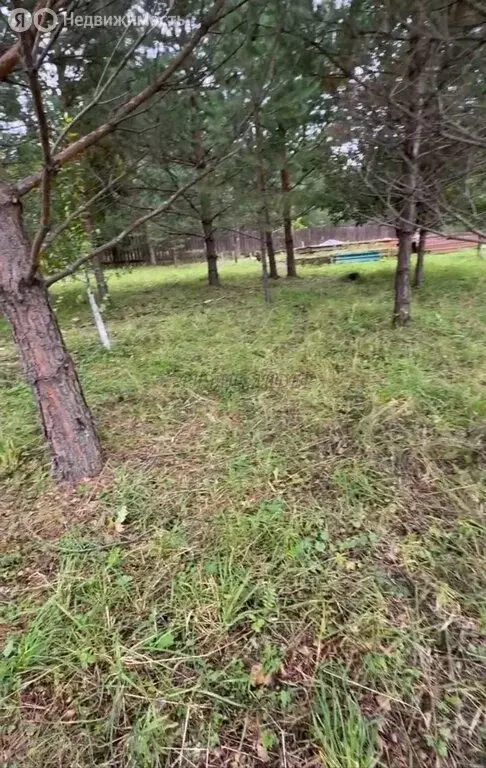 Участок в Чемальский район, село Анос (12 м) - Фото 2