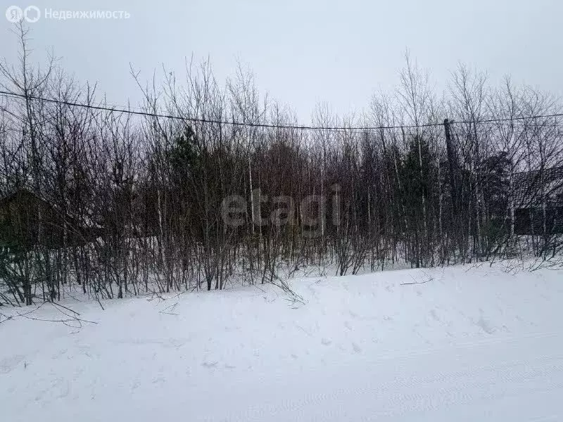 Участок в деревня Кисловка, улица Родников (15 м) - Фото 2