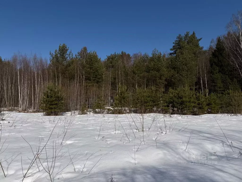 Участок в Московская область, Чехов муниципальный округ, д. Солнышково ... - Фото 2