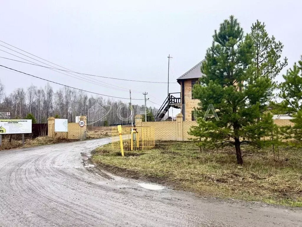 Участок в Тюменская область, Нижнетавдинский район, Березка СНТ  (7.81 ... - Фото 1