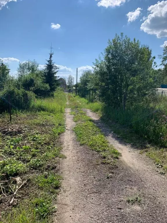 Участок в Московская область, Щелково городской округ, Эколог садовое ... - Фото 1