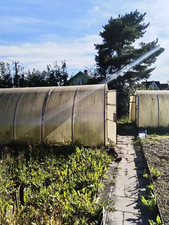 Участок в Ленинградская область, Ломоносовский район, д. Низино ... - Фото 2