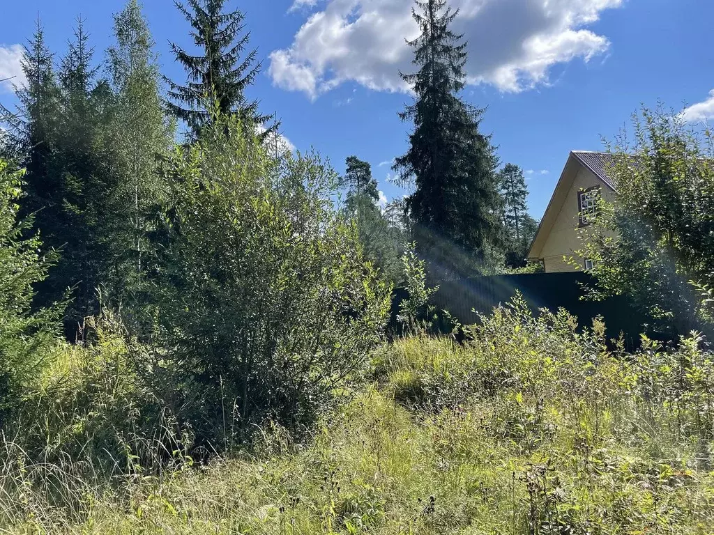 Дом в Ленинградская область, Гатчинский район, Вырица городской ... - Фото 1