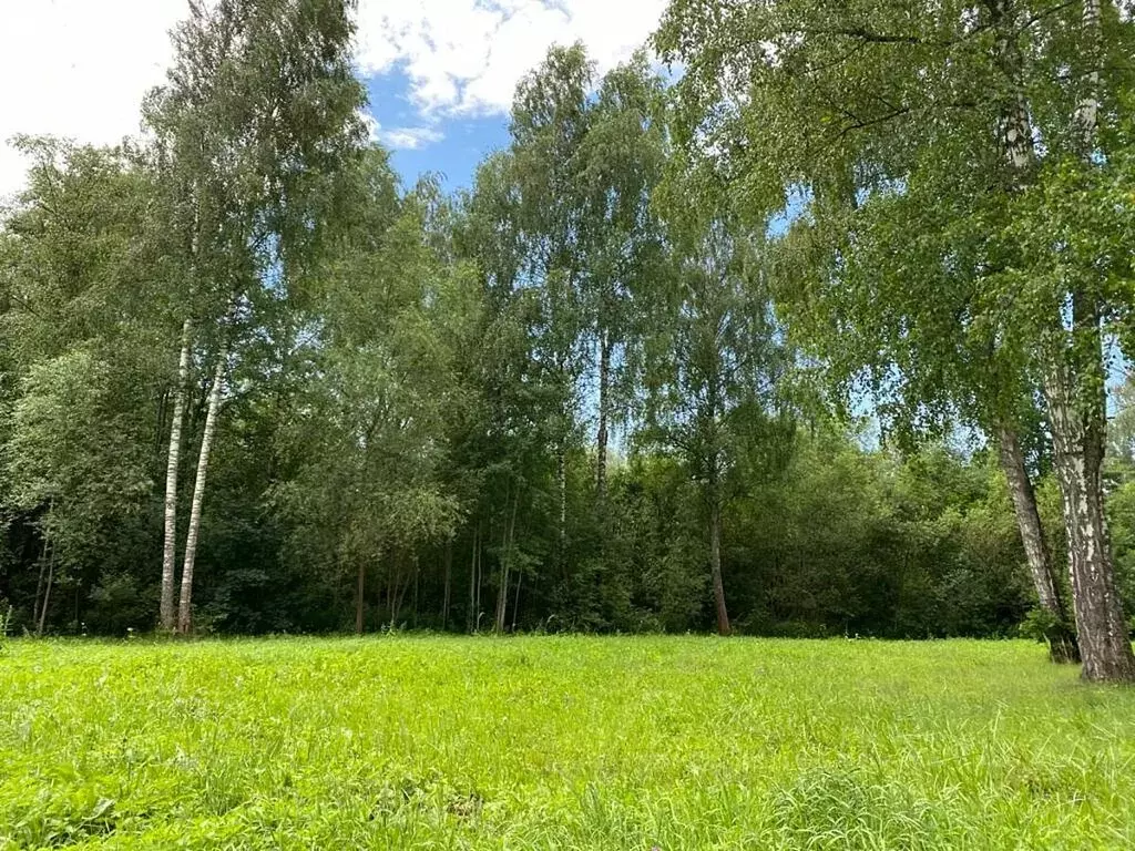 Участок в Москва, НАО, район Внуково, КП Крёкшино (12.35 м) - Фото 0
