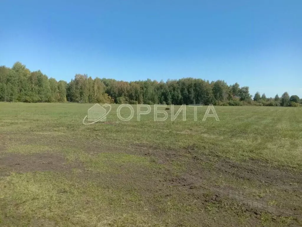 Участок в Тюменская область, Тюменский муниципальный округ, д. Зырянка ... - Фото 1