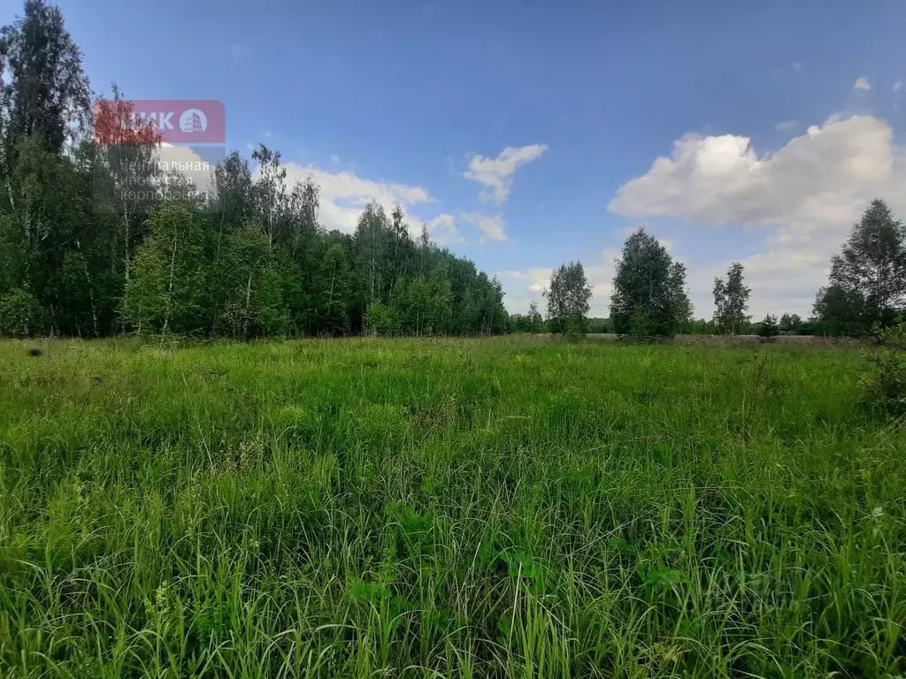 Участок в Рязанская область, Рязанский муниципальный округ, пос. ... - Фото 2