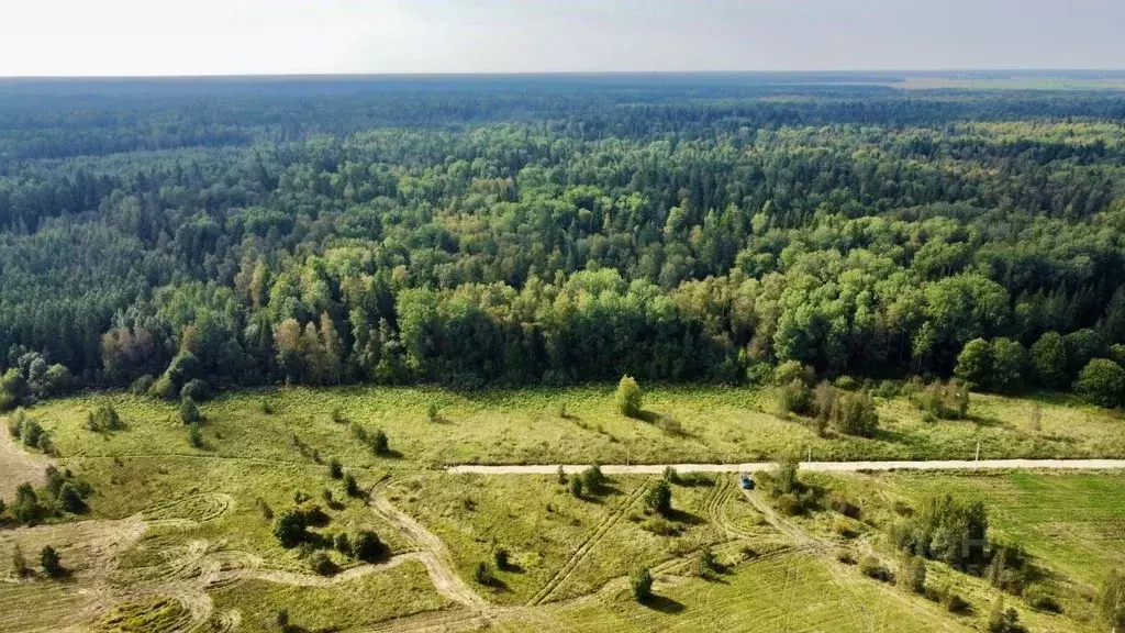 Участок в Ленинградская область, Тосненский район, Федоровское ... - Фото 1