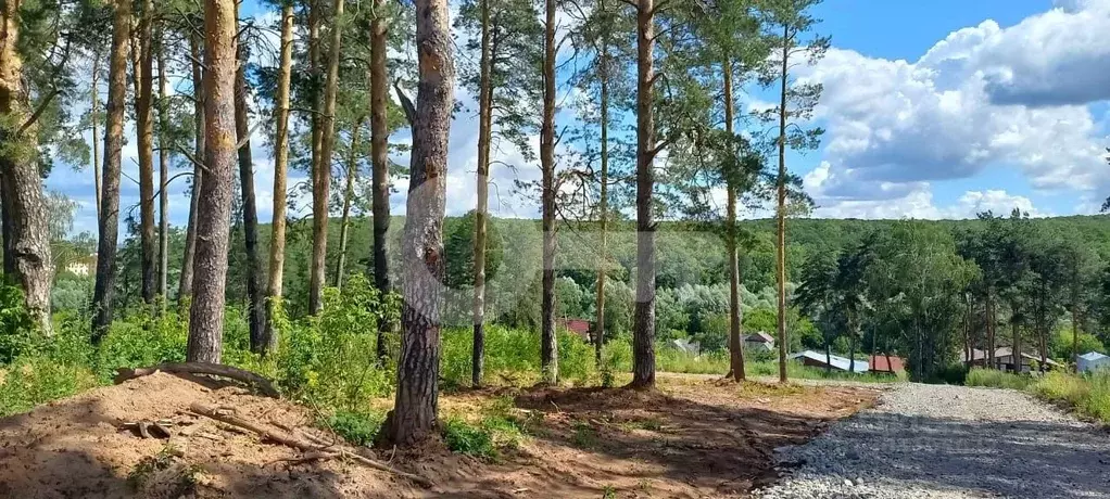 Участок в Татарстан, Верхнеуслонский район, Набережно-Морквашское ... - Фото 1