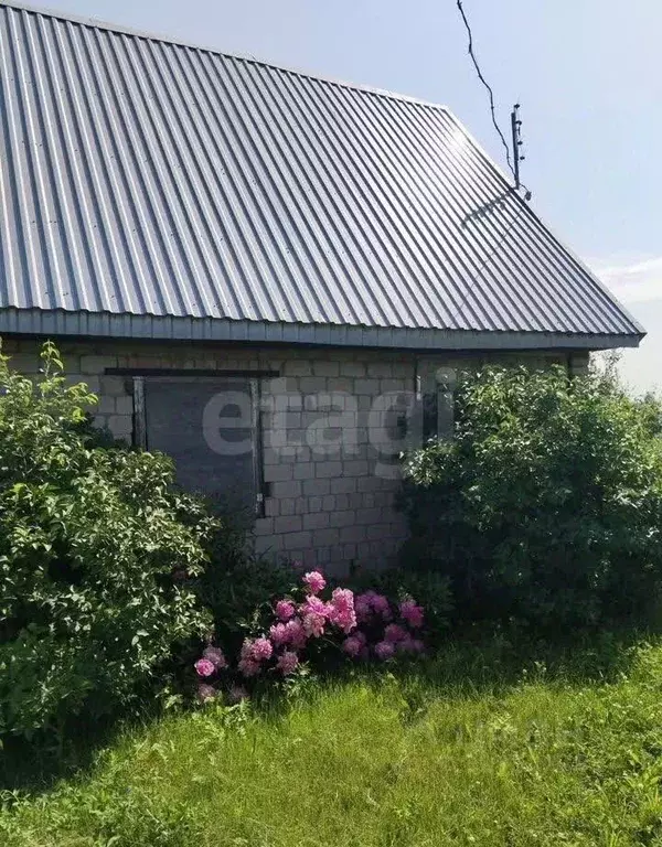 Дом в Алтайский край, Первомайский район, Медик СНТ ул. Четвертая, 6 ... - Фото 1