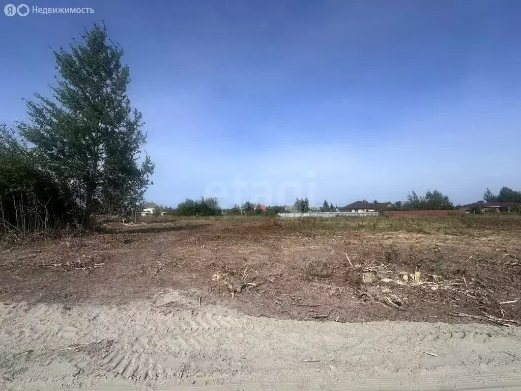 Участок в Калининградская область, Зеленоградский муниципальный округ, ... - Фото 1