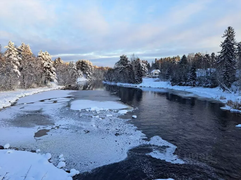 Дом в Ленинградская область, Гатчинский район, Вырица городской ... - Фото 1