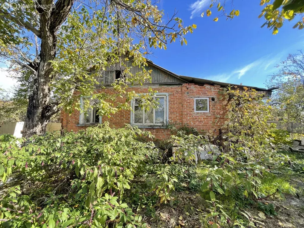 Участок в Майкоп, Курганная улица, 388 (6.1 м) - Фото 1