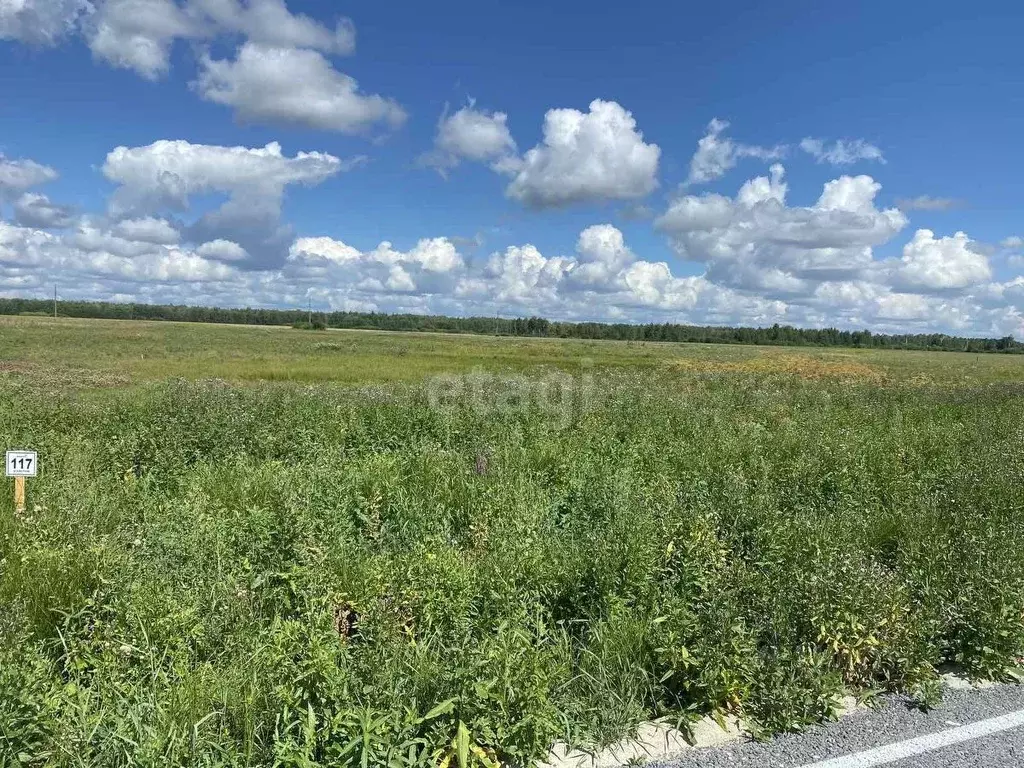 Участок в Тюменская область, Тюменский район, д. Елань  (8.0 сот.) - Фото 0