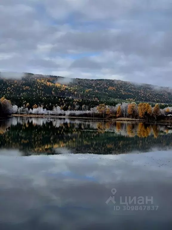 Участок в Иркутская область, Шелеховский район, Баклашинское ... - Фото 0