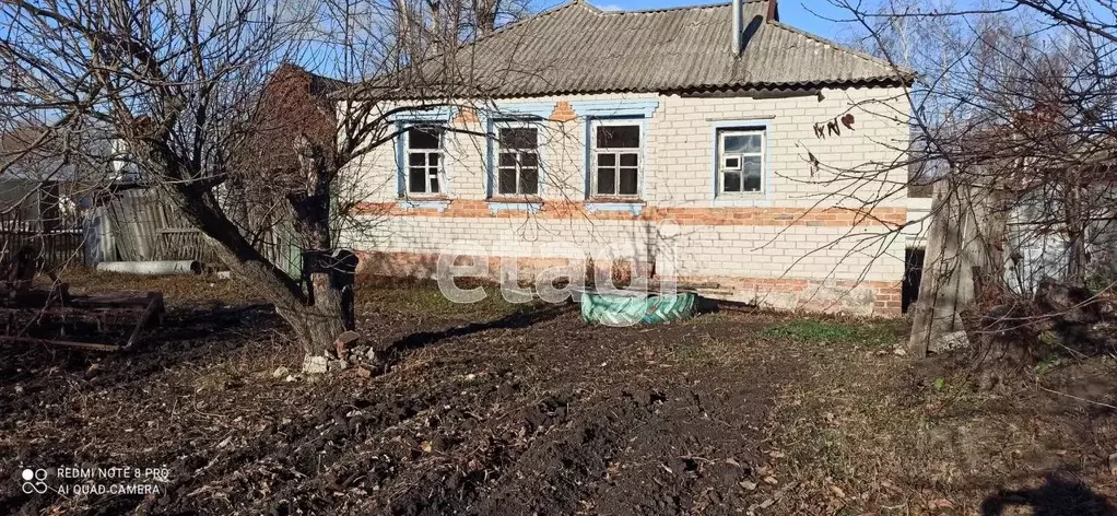 Дом в Белгородская область, Шебекинский муниципальный округ, с. ... - Фото 0