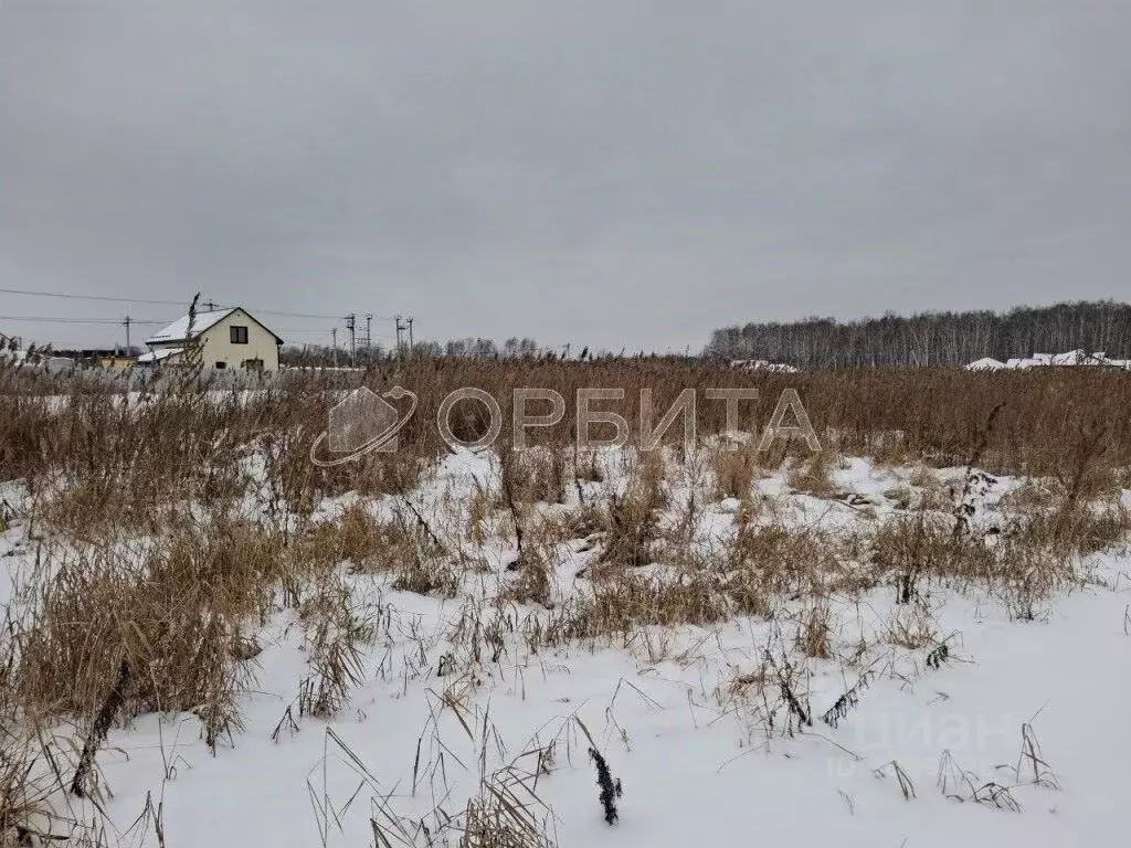 Участок в Тюменская область, Тюменский район Салаирский тракт, 14-й км ... - Фото 0