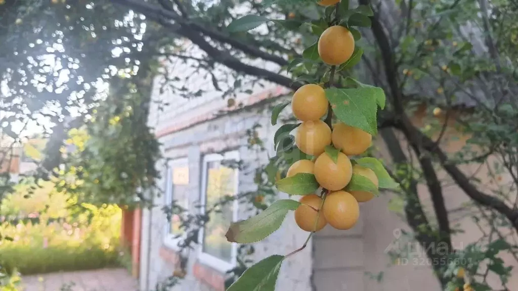 Дом в Белгородская область, Старый Оскол СНТ Кукушкин хут., ул. ... - Фото 0