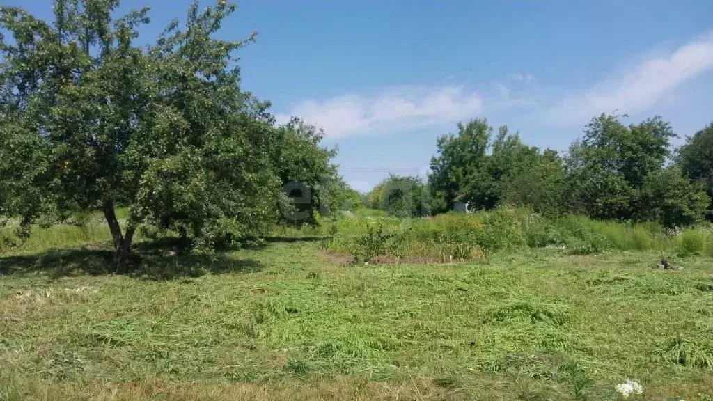 Участок в Брянская область, Брянский район, Снежское с/пос, пос. ... - Фото 1