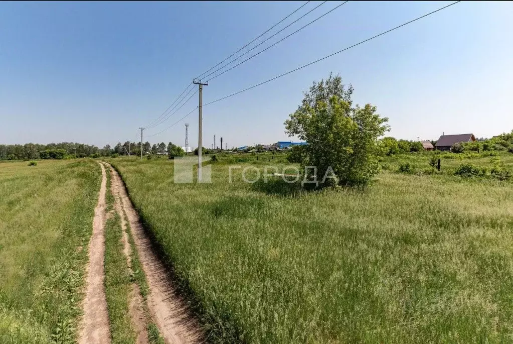 Участок в Алтайский край, Первомайский район, с. Фирсово Палитра жилой ... - Фото 1