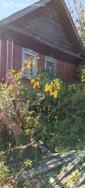 Дом в посёлок городского типа Шаля, улица Урицкого (29 м) - Фото 0