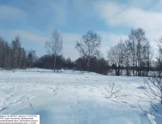 Участок в Московская область, Дмитровский муниципальный округ, д. ... - Фото 1